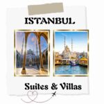 نمونه کار محدثه حجتی