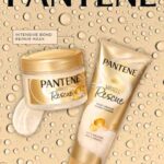 نمونه کار مائده میری