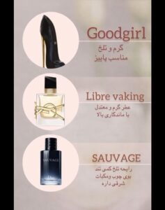 نمونه کار ادمین رویا عیوضی