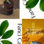 نمونه کار حدیث شاکری