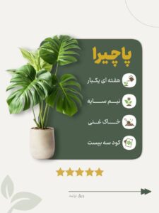 نمونه کار ادمین مرضیه حاجی باقری