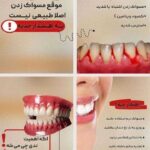 نمونه کار مطهره شکورزاده
