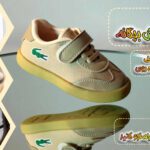 نمونه کار آیناز زینعلی