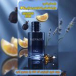 نمونه کار آیناز زینعلی