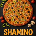 نمونه کار سهیلا آقاپور