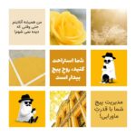 نمونه کار یاشا یاورزاده