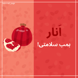 نمونه کار ادمین پریسا بهرامی