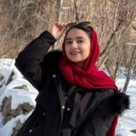 نرگس چاه متکی