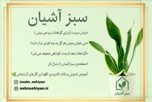 نمونه کار ادمین 09385212524