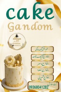 نمونه کار ادمین سمیه فرخی