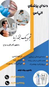 نمونه کار ادمین نیلوفر نوروزی