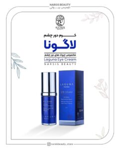 نمونه کار ادمین شبنم حسینی
