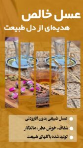 نمونه کار ادمین مژگان حاتمیان