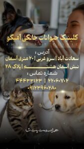نمونه کار ادمین فاطمه صالح