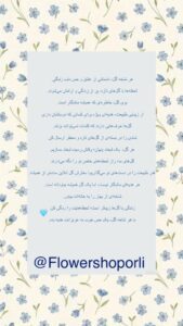 نمونه کار ادمین هستی نعمتی