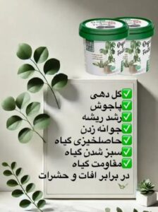 نمونه کار ادمین فاطمه ساداتیان