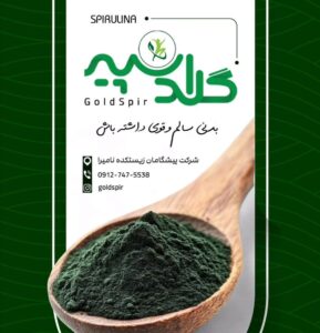 نمونه کار ادمین مهوا فلاح مقدم