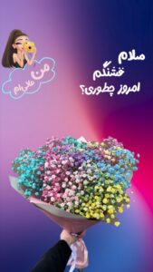 نمونه کار ادمین مریم زعفرانیه