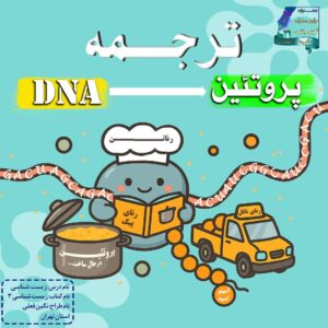 نمونه کار ادمین نگین فعلی