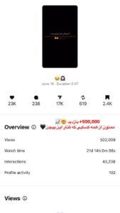 نمونه کار ادمین بیتا شینی