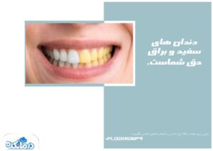 نمونه کار ادمین رقیه ناصری
