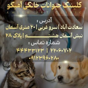 نمونه کار فاطمه صالح