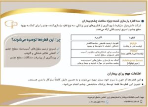 نمونه کار ادمین حکیمه شیبانی