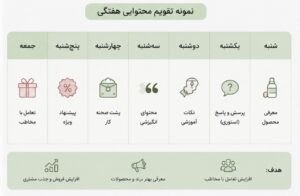 نمونه کار ادمین فاطمه فیروزی