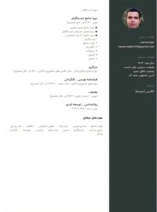 نمونه کار ادمین رسول صالحی