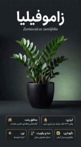 نمونه کار ادمین الهام پایه دار