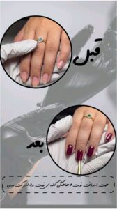 نمونه کار ادمین زهرا اسکندری