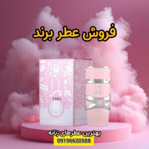 نمونه کار ادمین سعیده سیفی