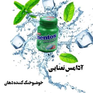 نمونه کار ادمین سعیده سیفی