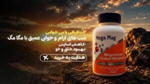 نمونه کار ادمین بردیا حنیفه پور