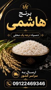 نمونه کار ادمین فتانه صیام