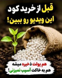 نمونه کار ادمین فتانه صیام