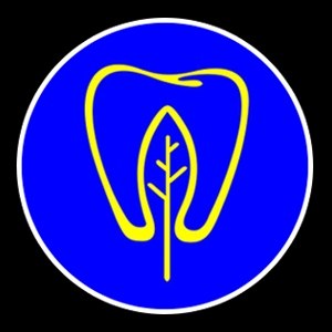دندانپزشکی