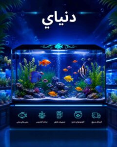 نمونه کار ادمین جواد رنجبر کمرودی