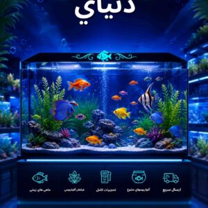 نمونه کار جواد رنجبر کمرودی