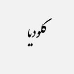ادمین اینستاگرام – حضوری