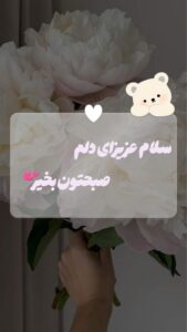 نمونه کار ادمین مائده بافنده
