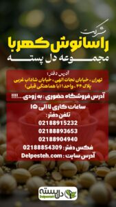 نمونه کار ادمین فاطمه صالح