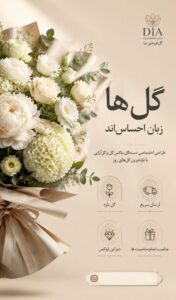 نمونه کار ادمین مبینا نصیرمیرداد