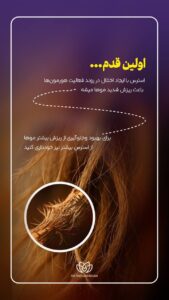 نمونه کار ادمین مهلا فاروقی