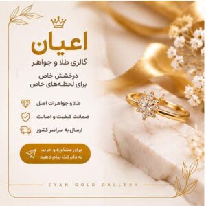 نمونه کار نسا براتی
